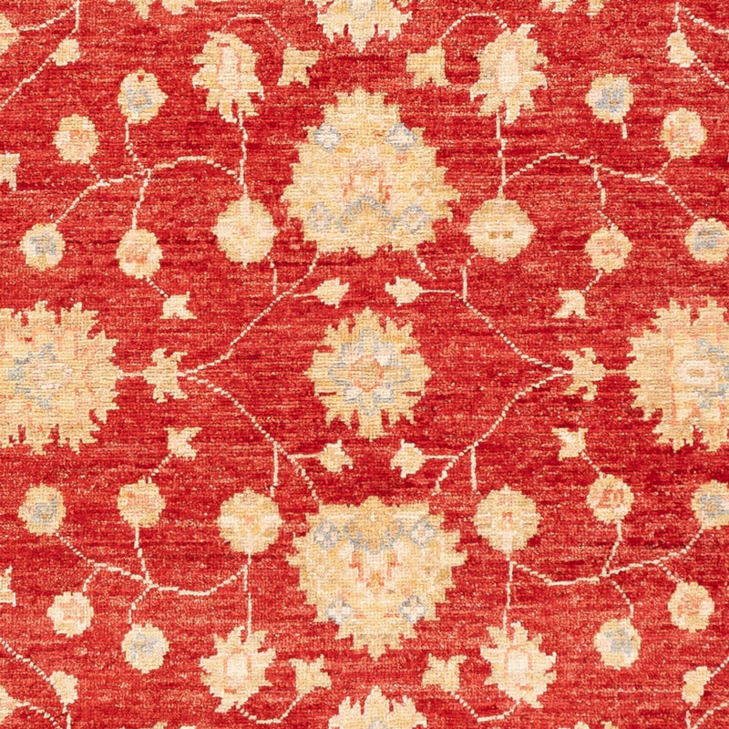 Tappeto Ziegler - 177 x 124 cm - rosso
