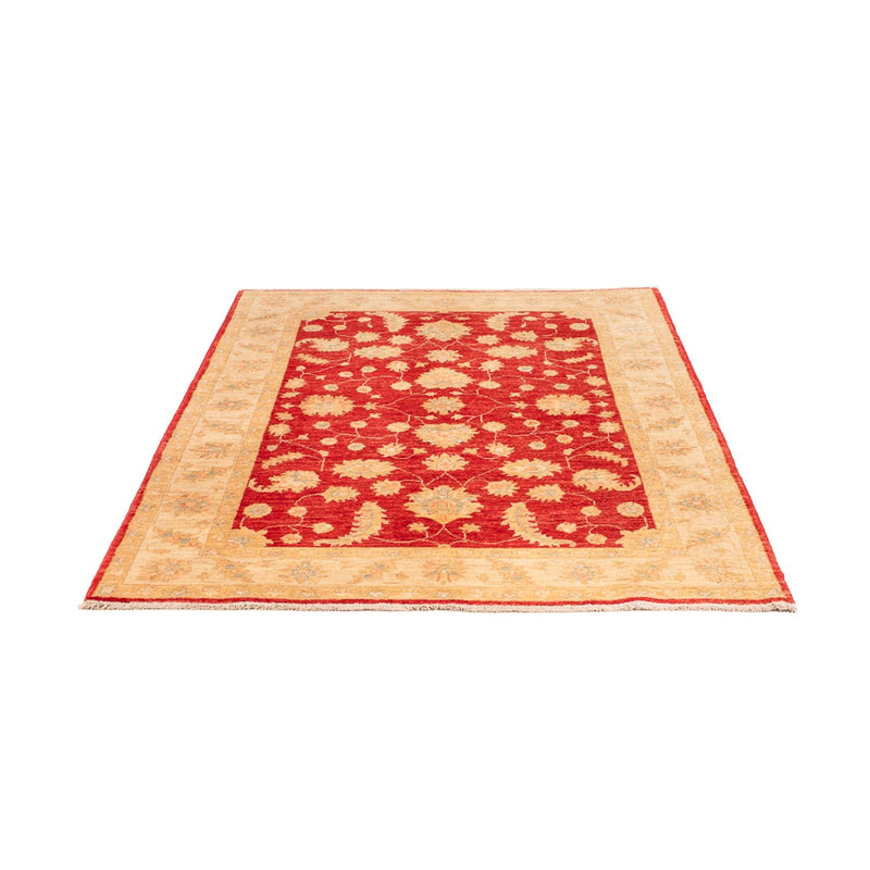 Tappeto Ziegler - 177 x 124 cm - rosso