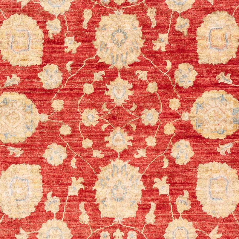 Tappeto Ziegler - 181 x 123 cm - rosso