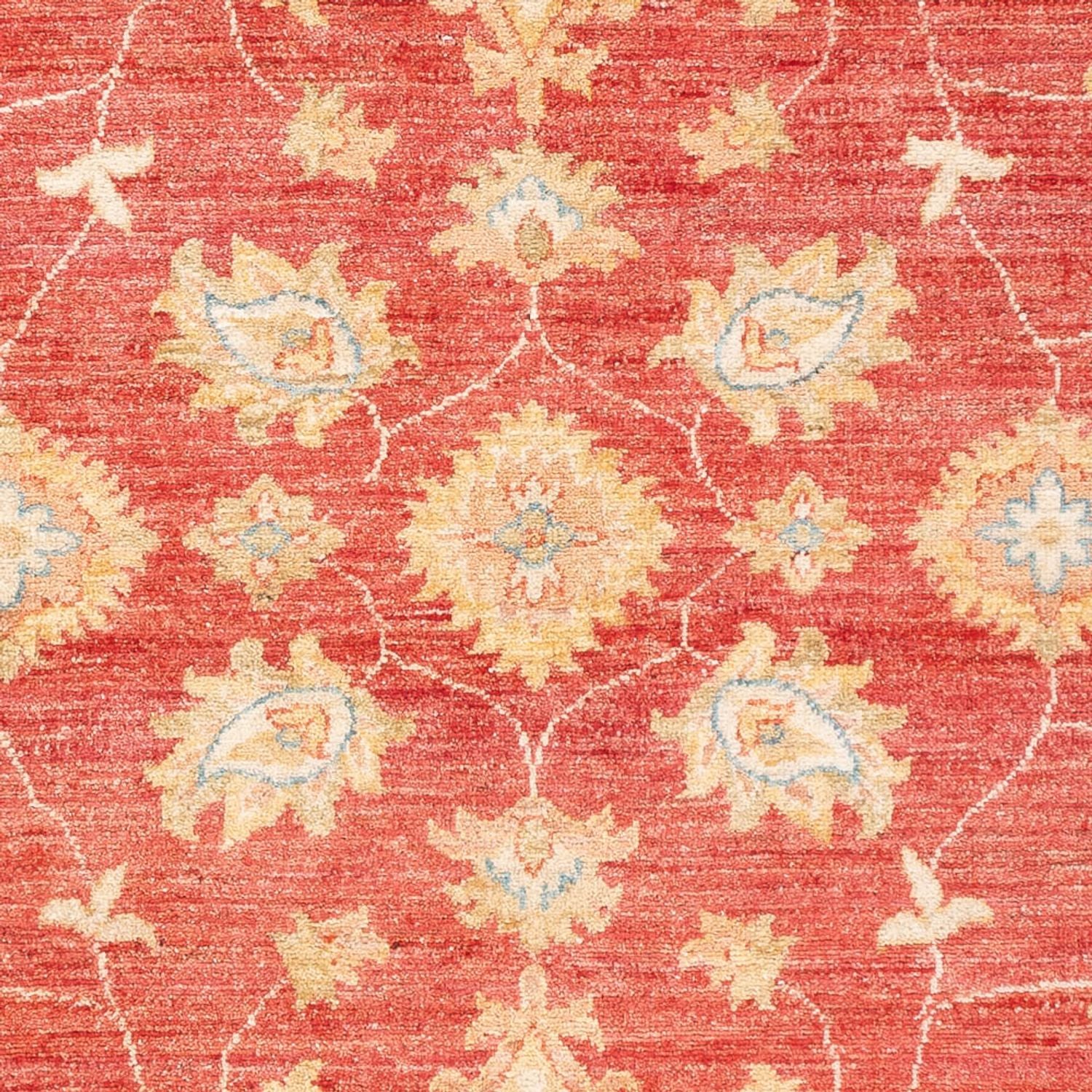 Tappeto Ziegler - 180 x 127 cm - rosso