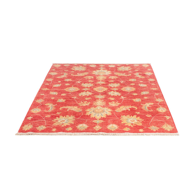 Tappeto Ziegler - 180 x 127 cm - rosso