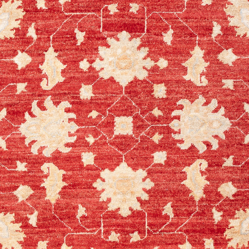 Tappeto Ziegler - 176 x 124 cm - rosso