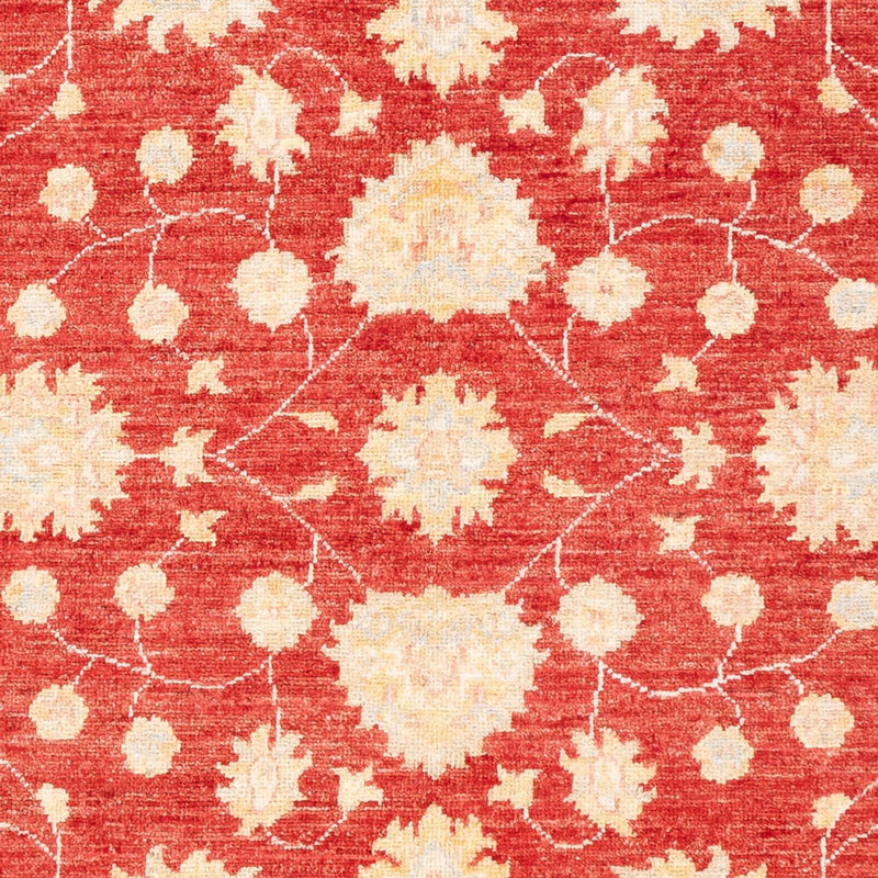 Tappeto Ziegler - 177 x 126 cm - rosso