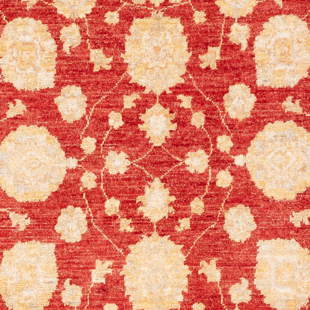 Tappeto Ziegler - 181 x 125 cm - rosso