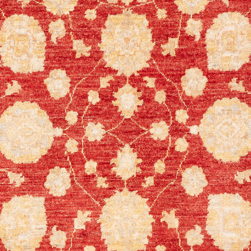Tappeto Ziegler - 181 x 125 cm - rosso