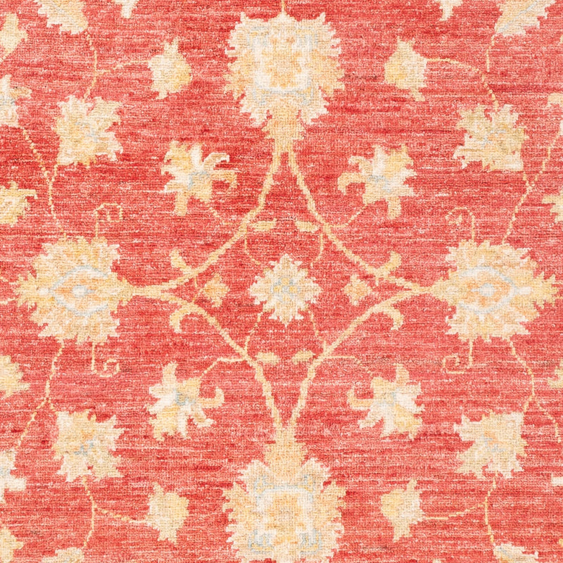 Tappeto Ziegler - 183 x 125 cm - rosso