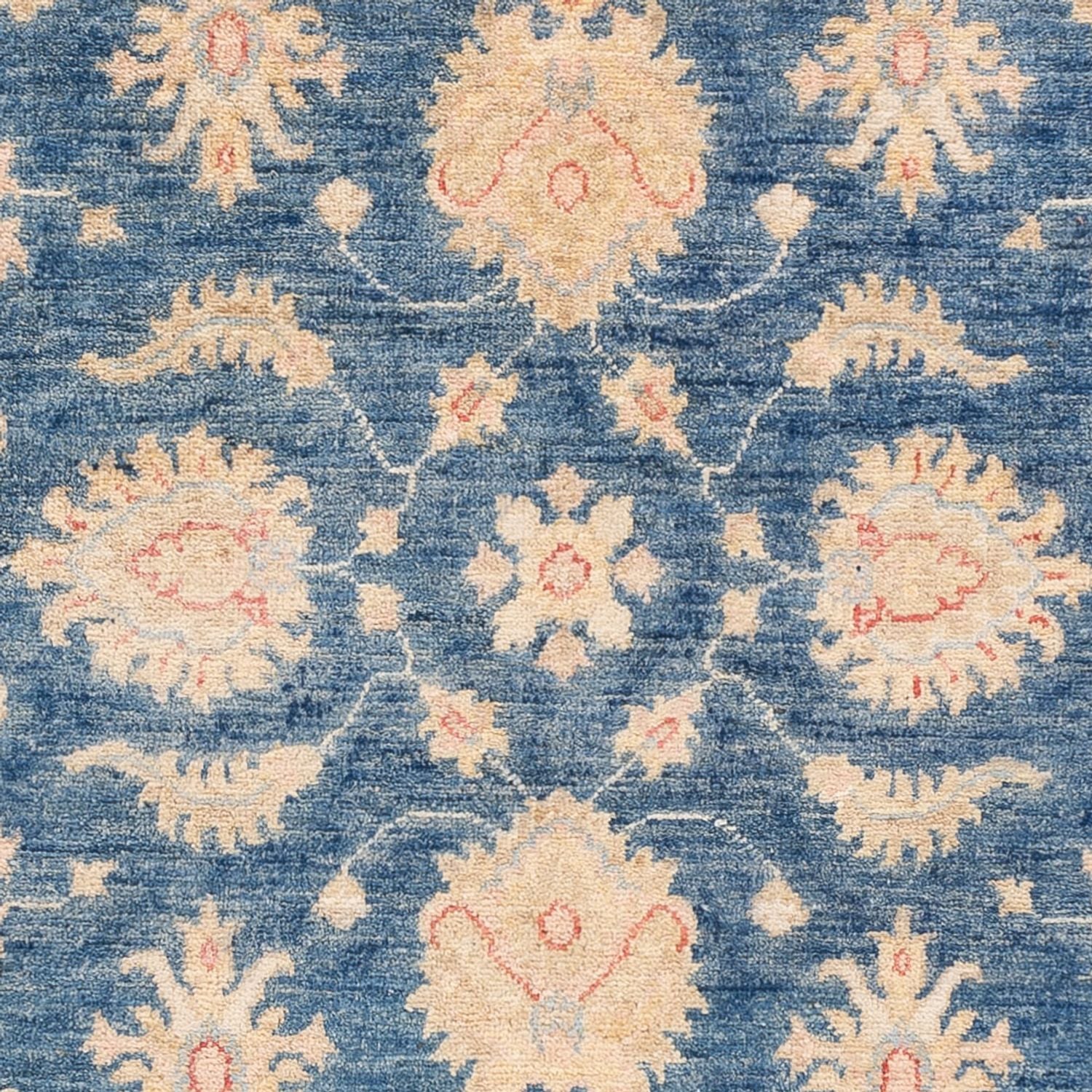Tappeto Ziegler - 150 x 100 cm - blu