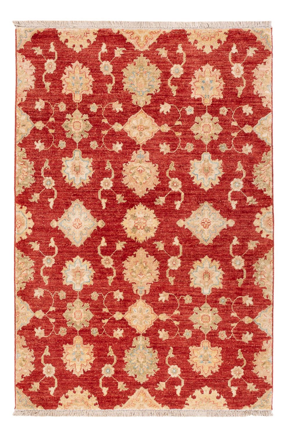 Tappeto Ziegler - 151 x 102 cm - rosso