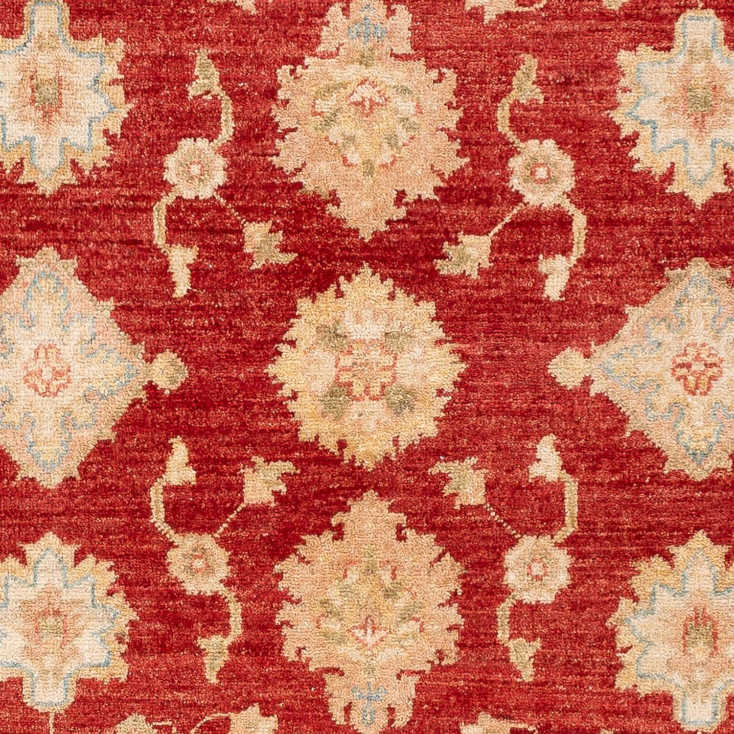 Tappeto Ziegler - 151 x 102 cm - rosso