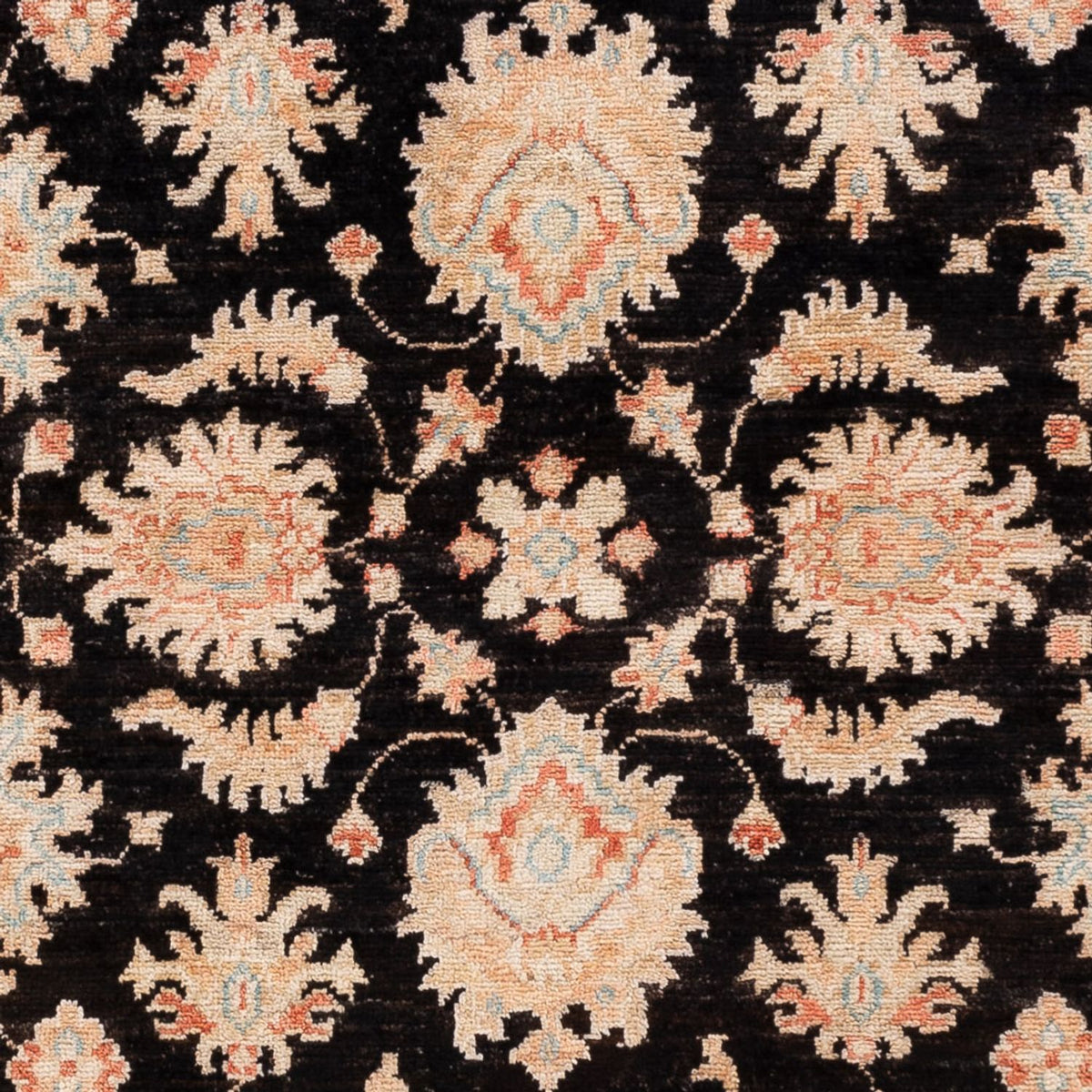 Tappeto Ziegler - 155 x 101 cm - nero