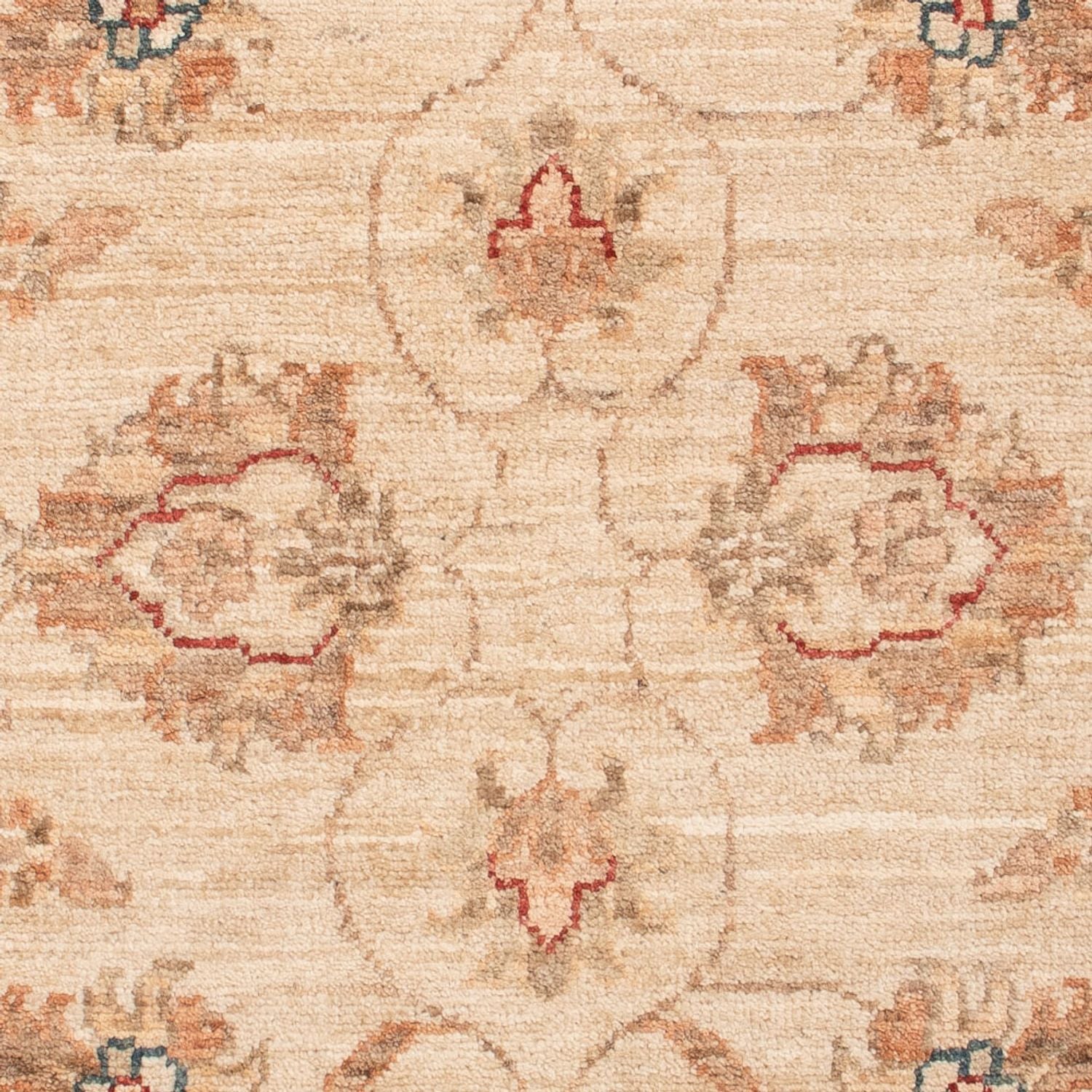Tappeto Ziegler - 128 x 80 cm - beige