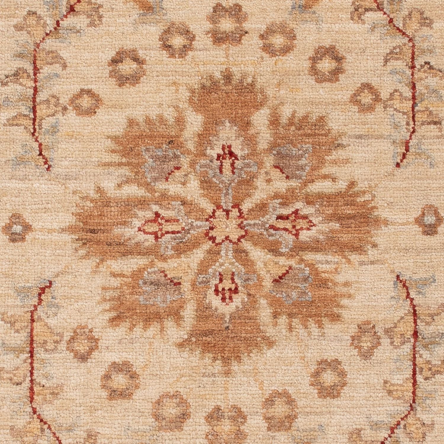 Tappeto Ziegler - 144 x 70 cm - beige