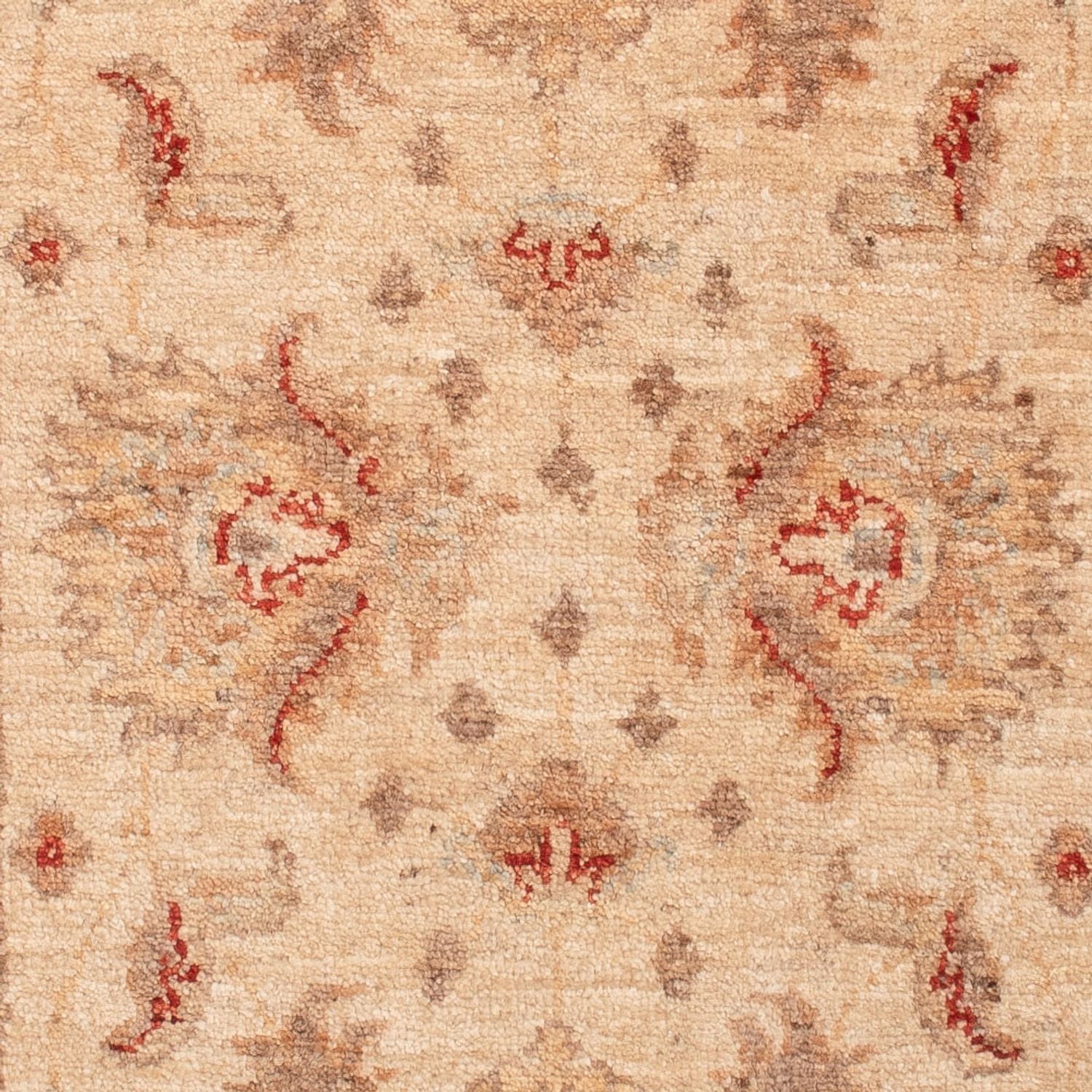 Tappeto Ziegler - 149 x 67 cm - beige