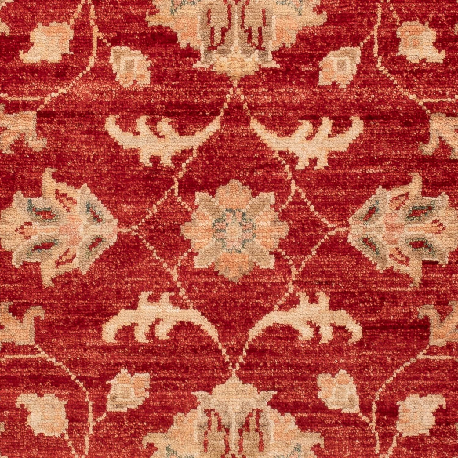Tappeto Ziegler - 124 x 80 cm - rosso