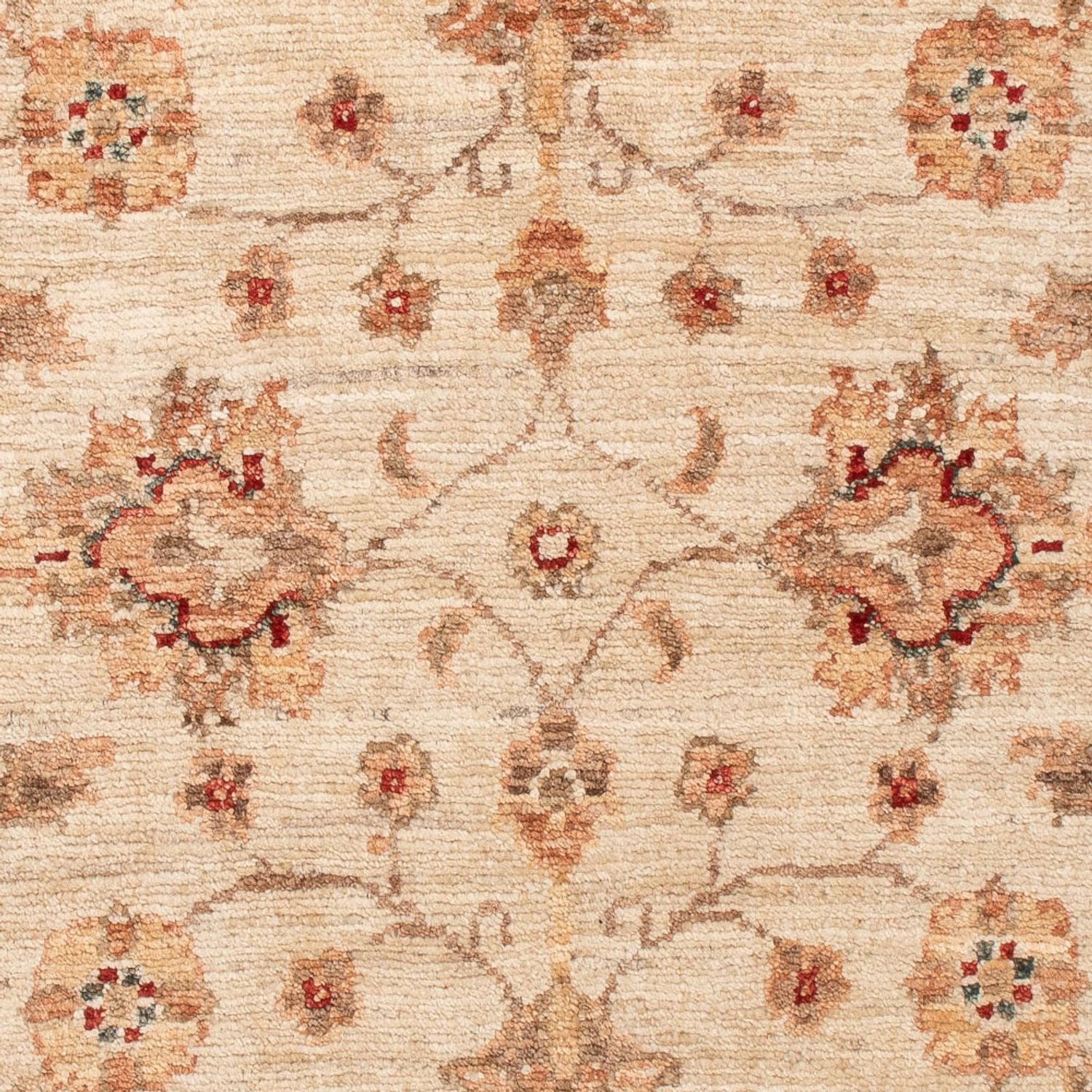Tappeto Ziegler - 119 x 78 cm - beige