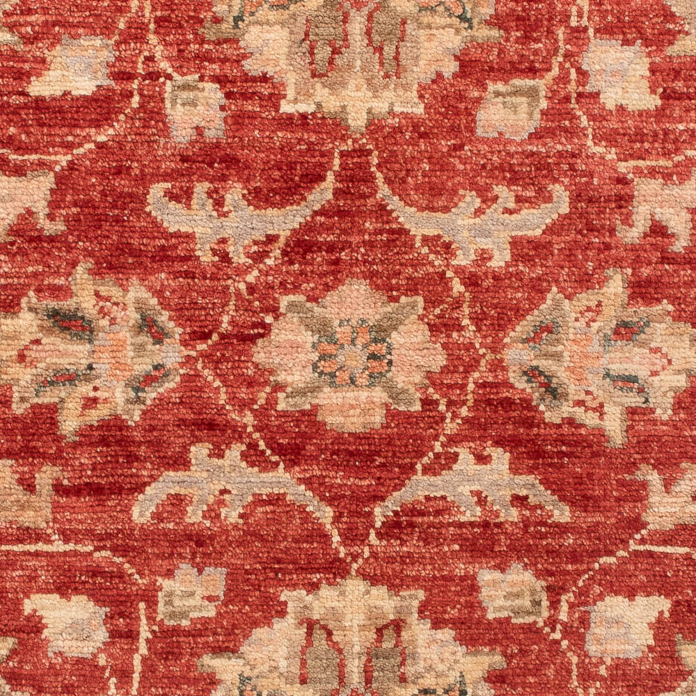 Tappeto Ziegler - 122 x 82 cm - rosso