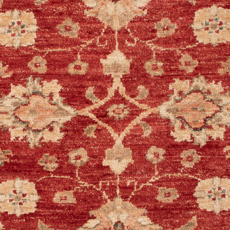 Tappeto Ziegler - 110 x 82 cm - rosso
