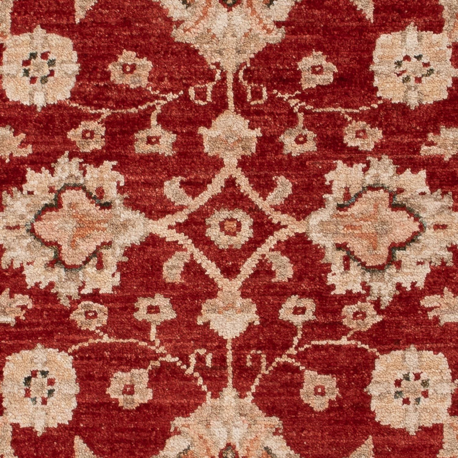 Tappeto Ziegler - 122 x 84 cm - rosso bordeaux