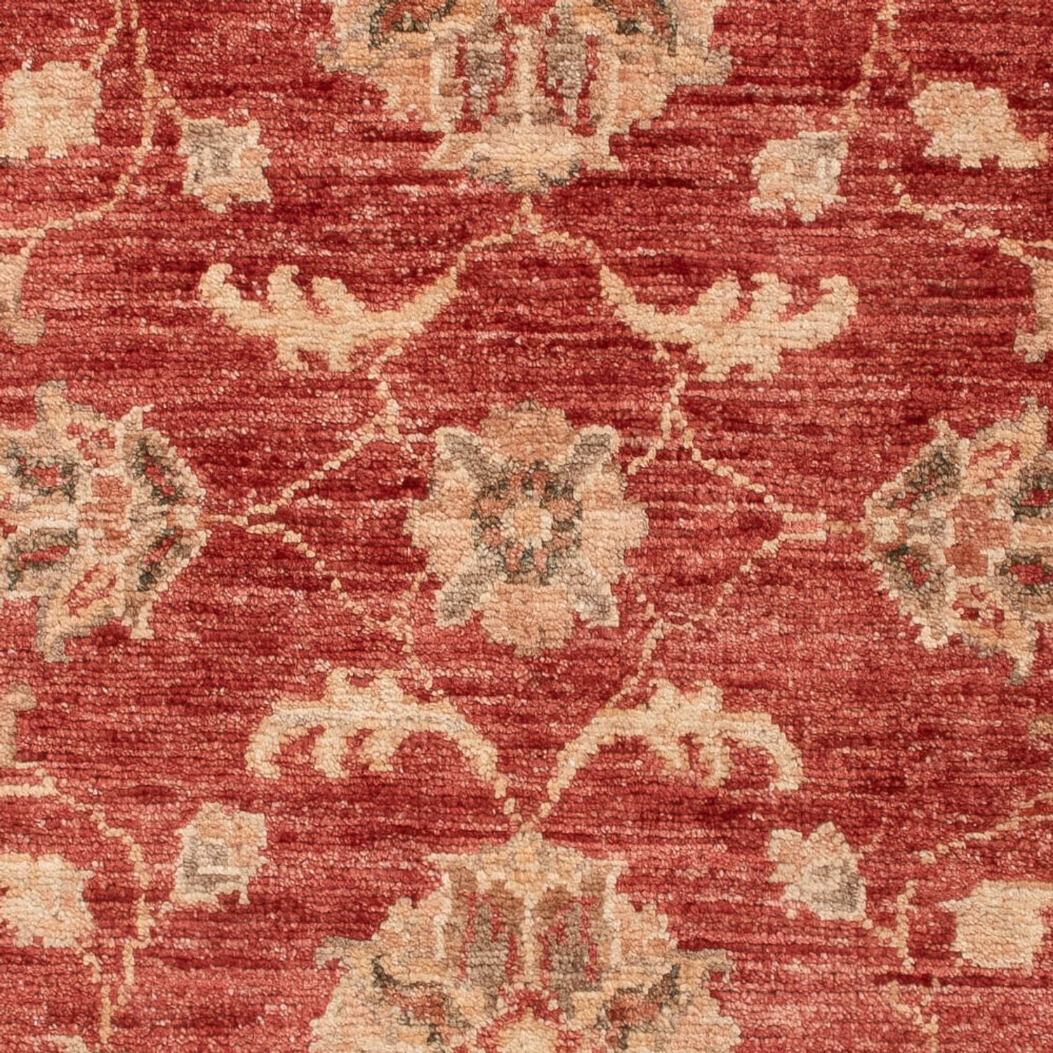 Tappeto Ziegler - 122 x 84 cm - rosso