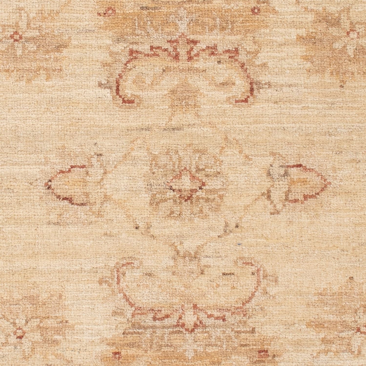 Tappeto Ziegler - 119 x 80 cm - beige