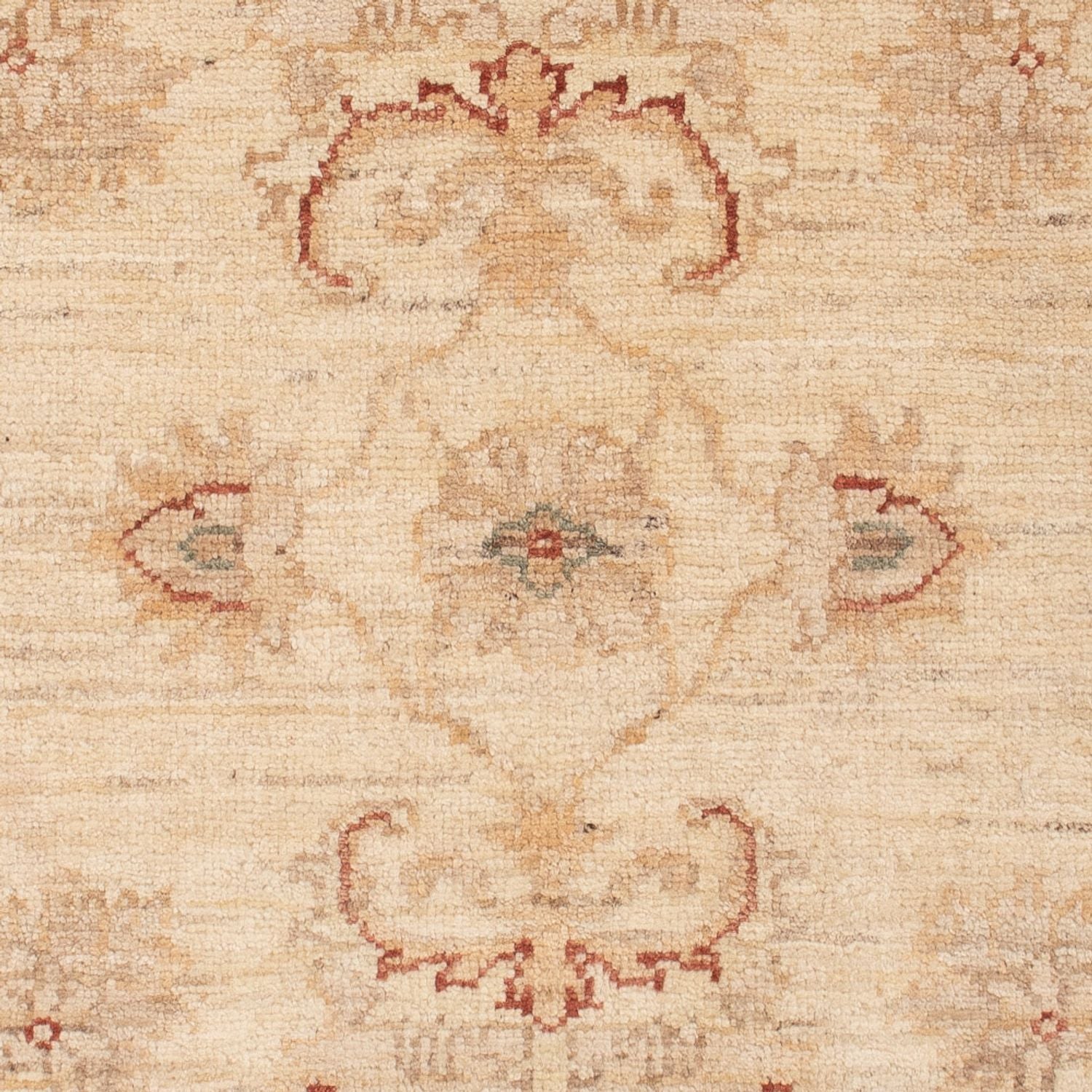 Tappeto Ziegler - 119 x 79 cm - beige