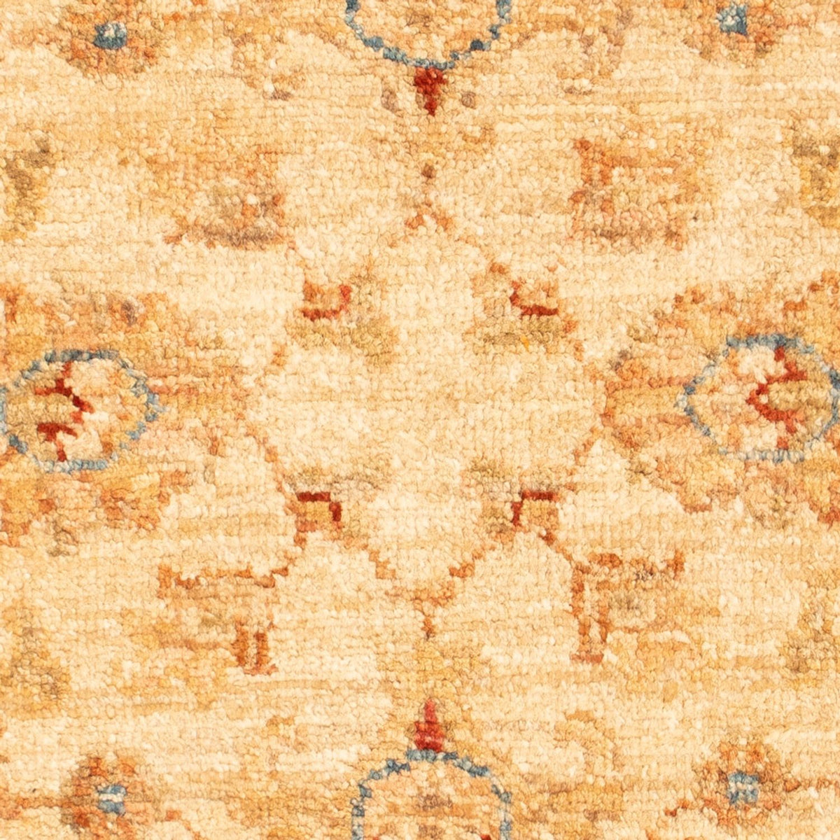 Tappeto Ziegler - 86 x 63 cm - beige