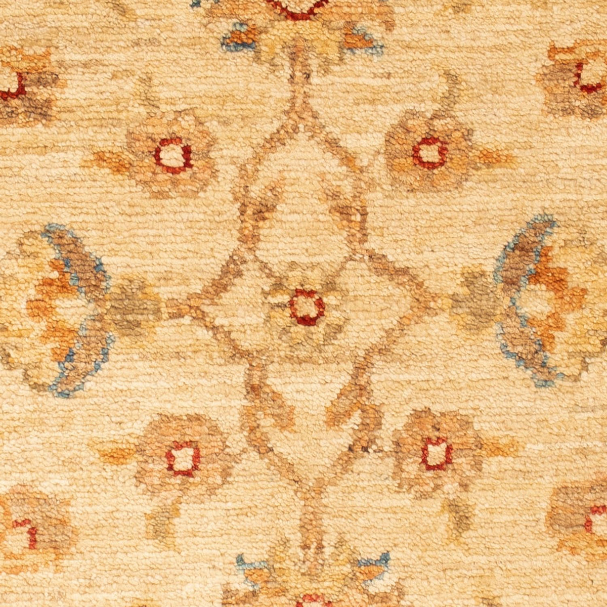Tappeto Ziegler - 88 x 61 cm - beige