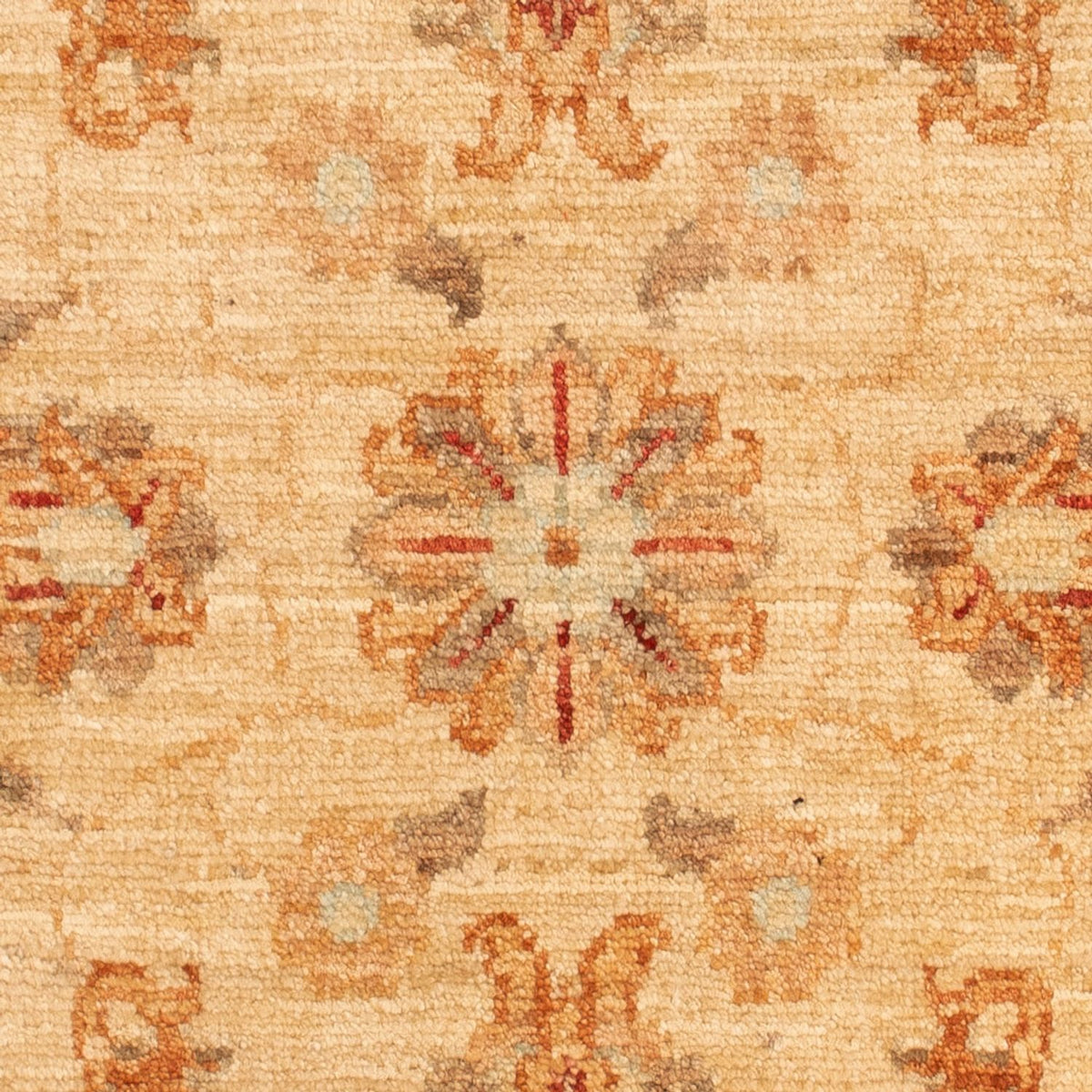 Tappeto Ziegler - 92 x 58 cm - beige