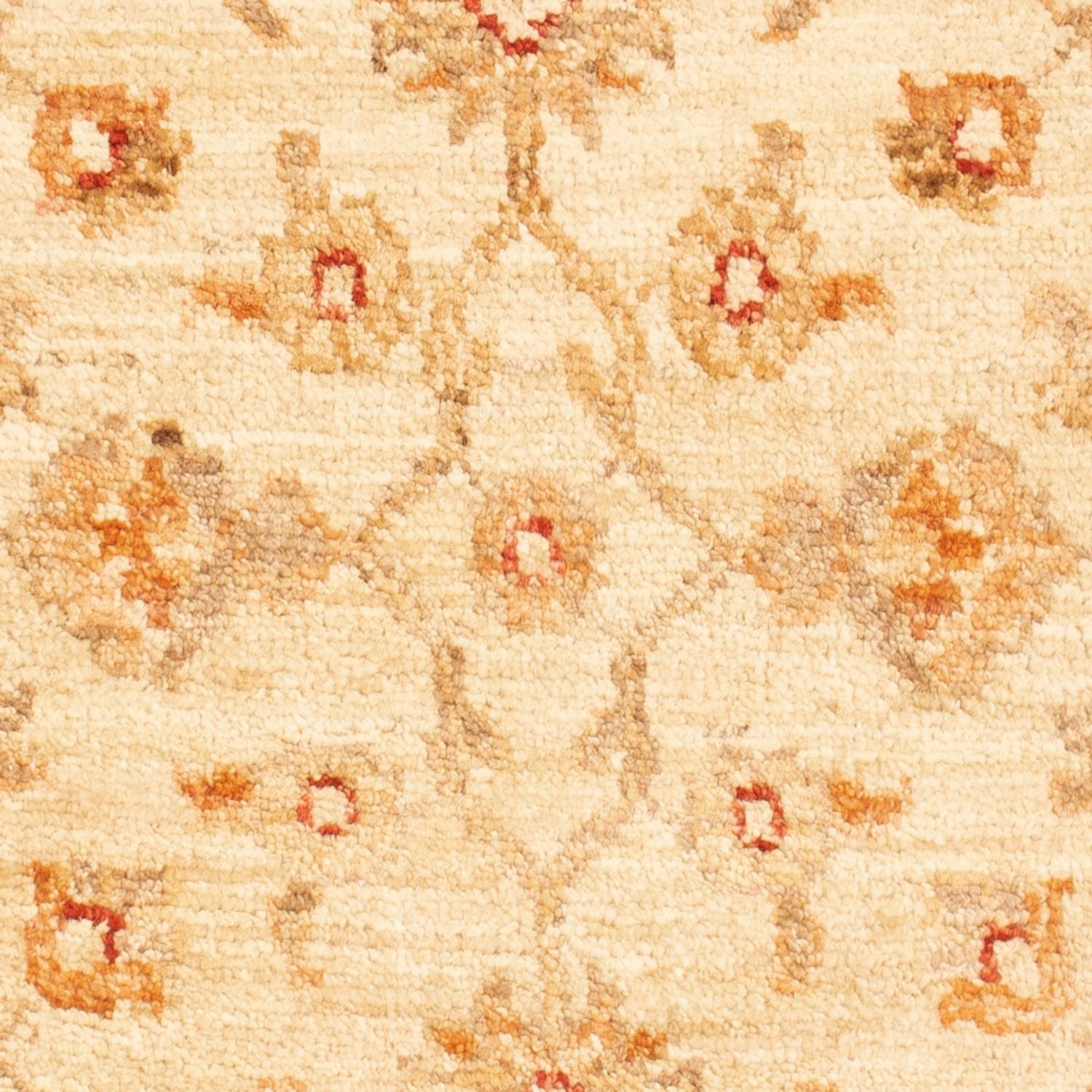 Tappeto Ziegler - 94 x 60 cm - beige