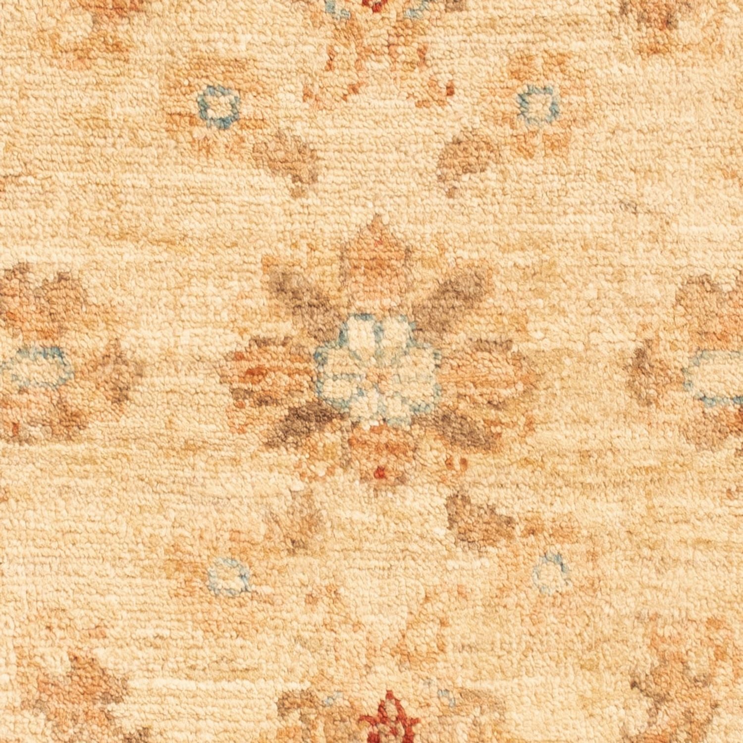 Tappeto Ziegler - 92 x 60 cm - beige