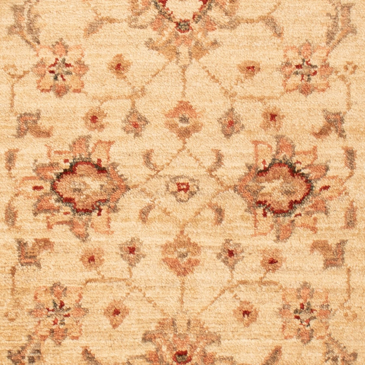Tappeto Ziegler - 90 x 60 cm - beige