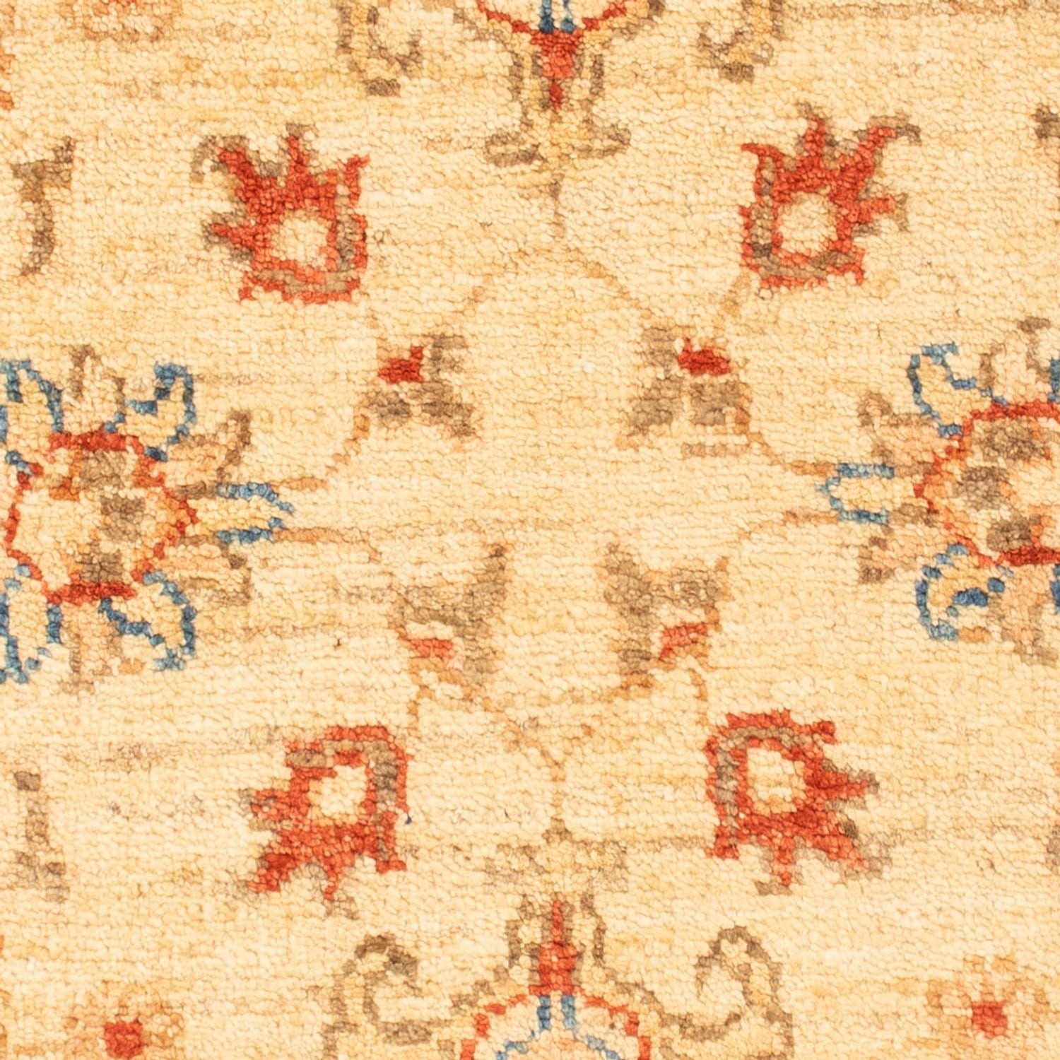 Tappeto Ziegler - 92 x 63 cm - beige