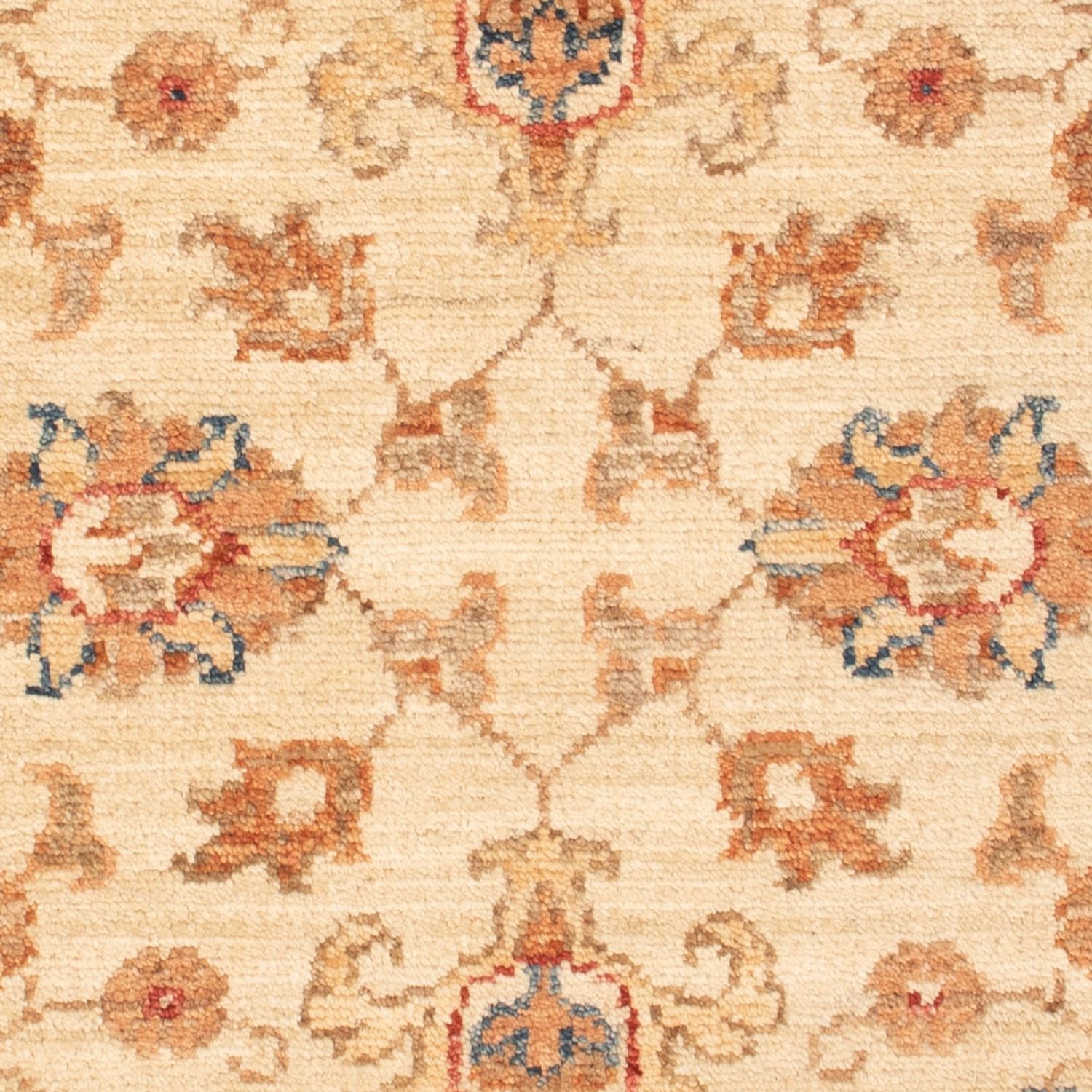 Tappeto Ziegler - 87 x 62 cm - beige