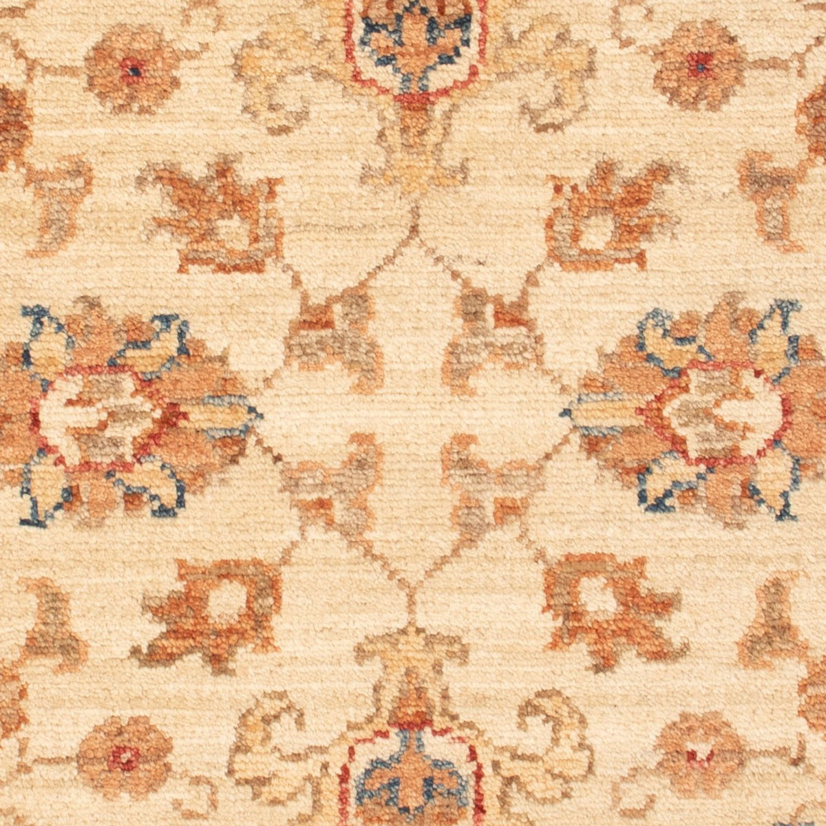Tappeto Ziegler - 87 x 62 cm - beige