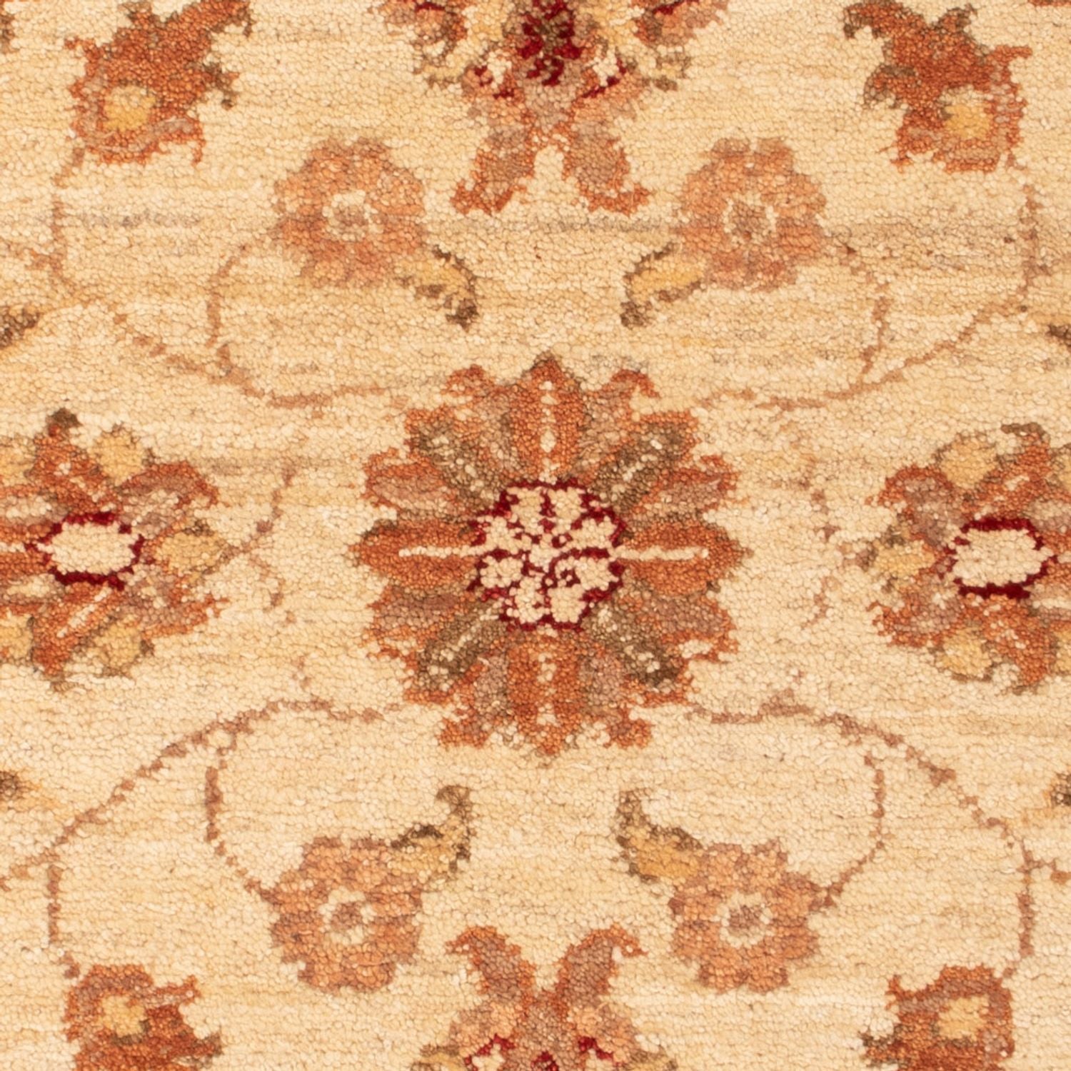 Tappeto Ziegler - 93 x 64 cm - beige