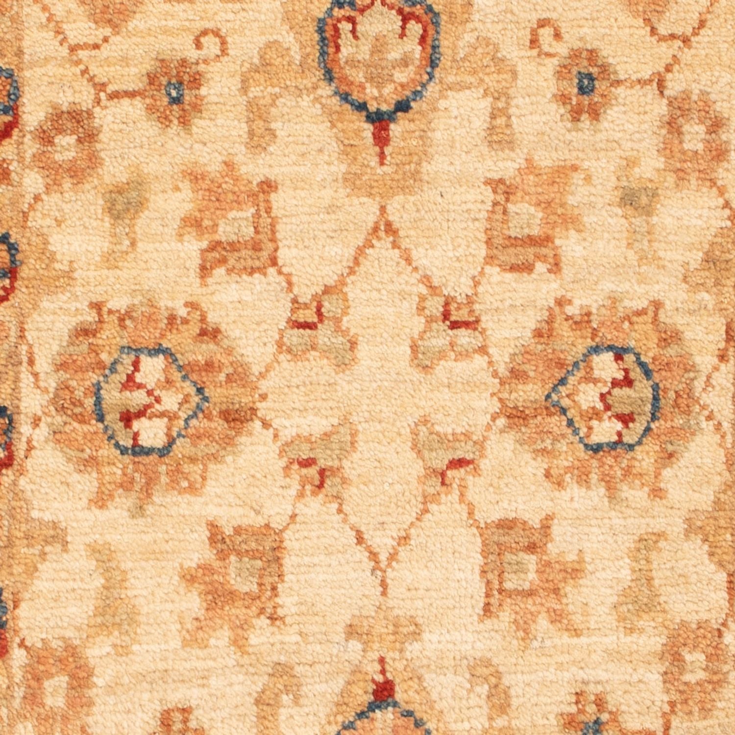 Tappeto Ziegler - 92 x 58 cm - beige