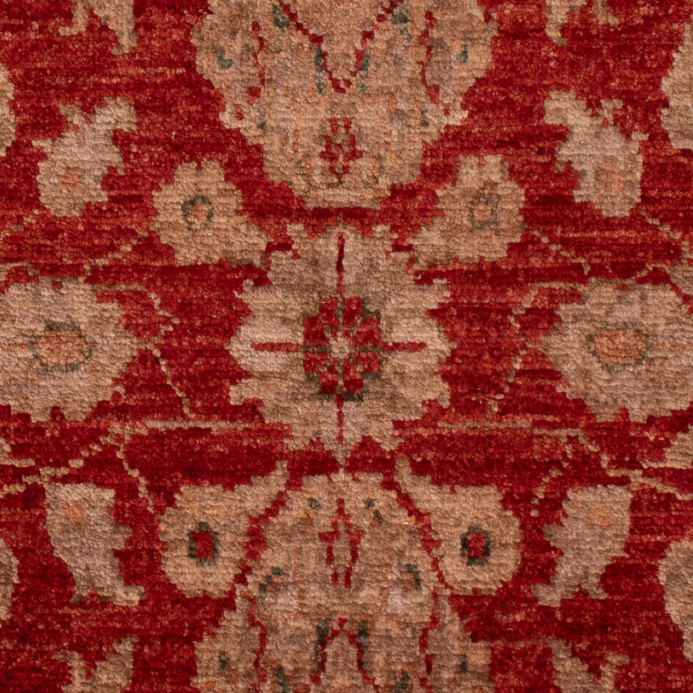 Tappeto Ziegler - 88 x 59 cm - rosso