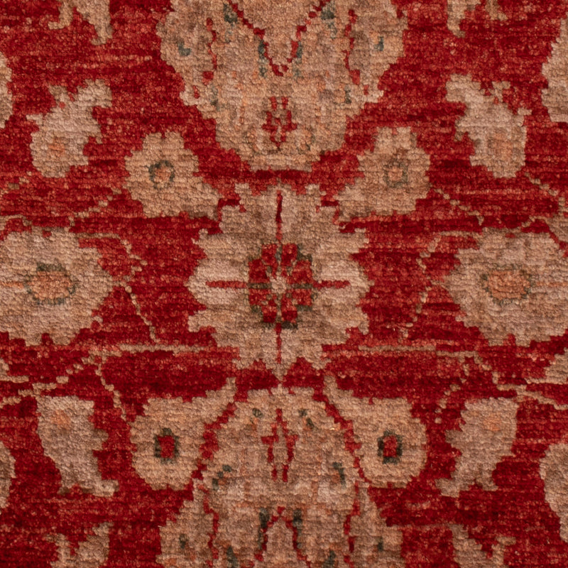Tappeto Ziegler - 88 x 59 cm - rosso