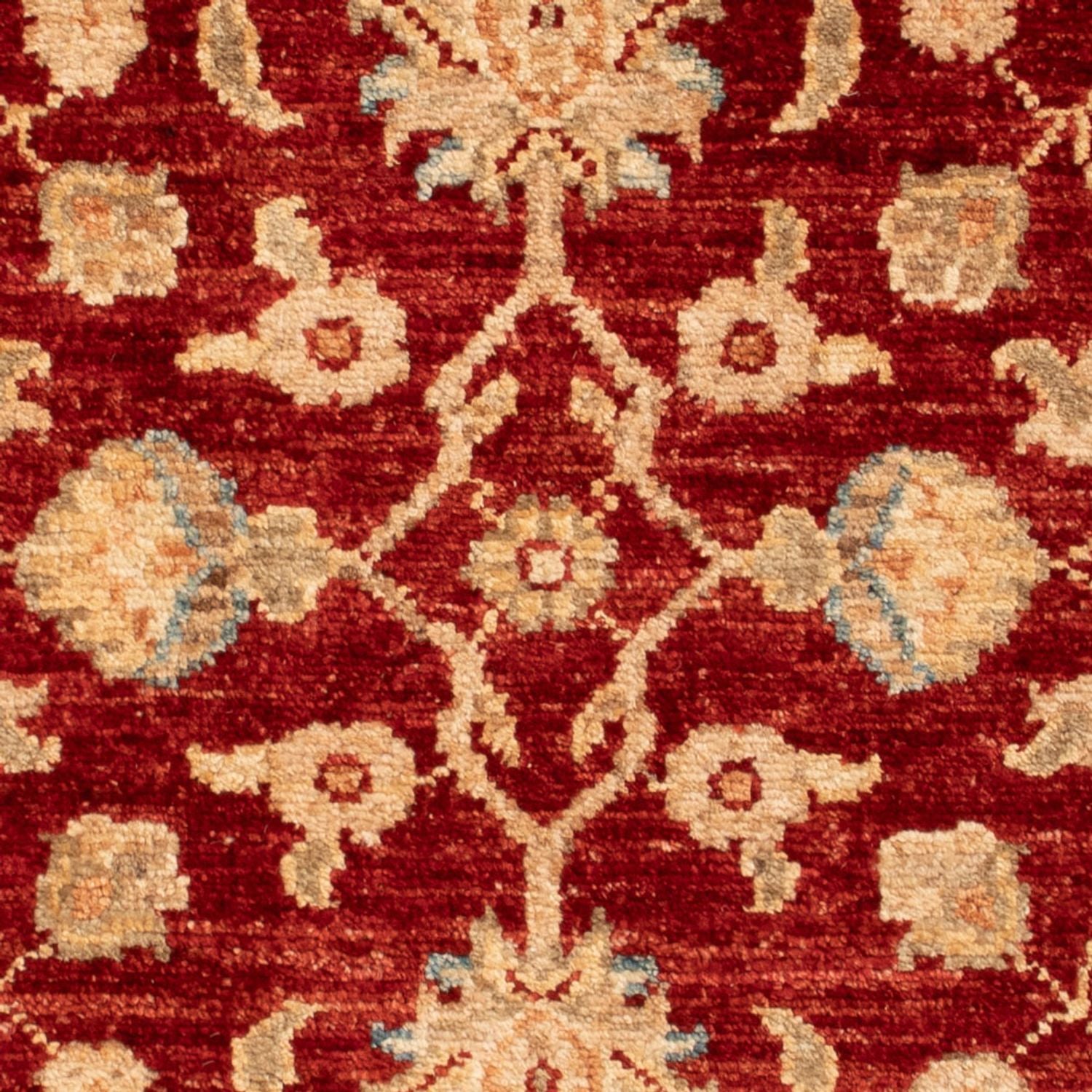Tappeto Ziegler - 86 x 62 cm - rosso