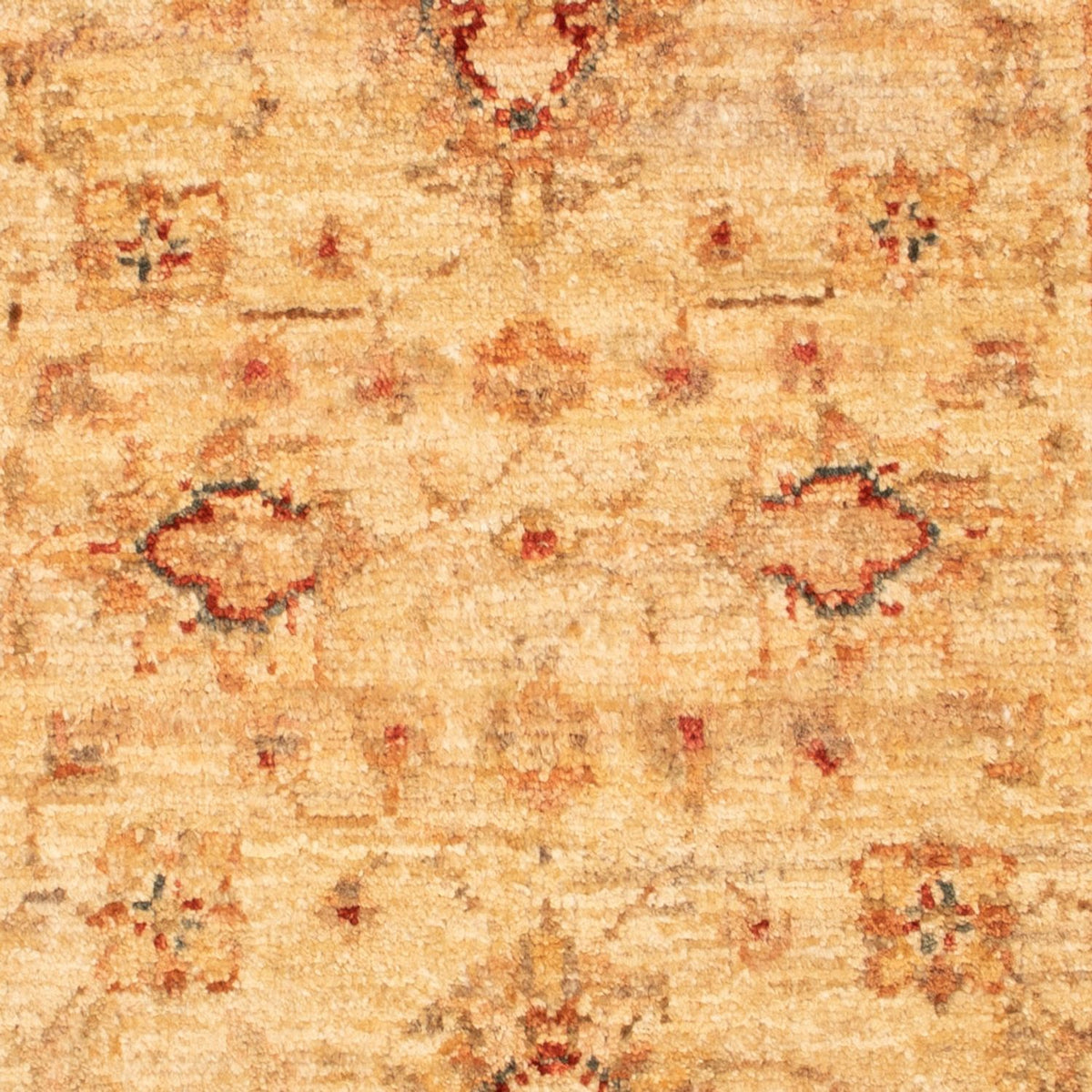 Tappeto Ziegler - 88 x 61 cm - beige