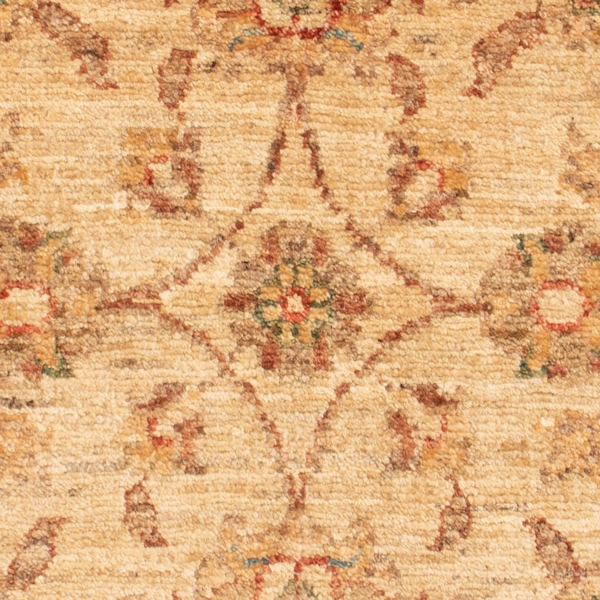 Tappeto Ziegler - 70 x 50 cm - beige