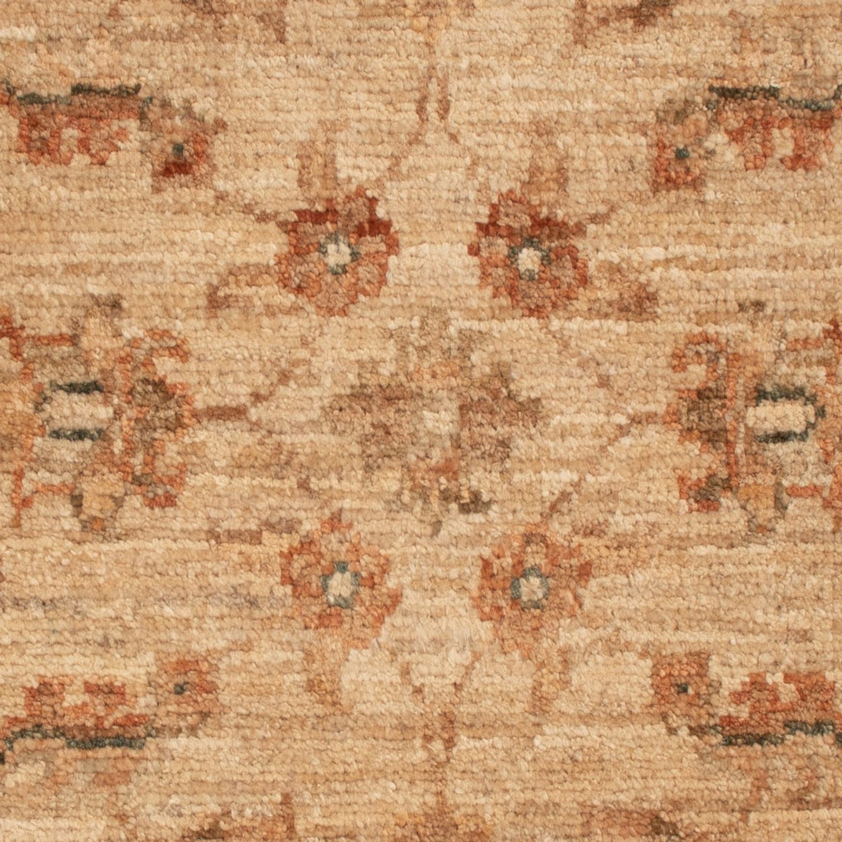 Tappeto Ziegler quadrato  - 71 x 51 cm - beige