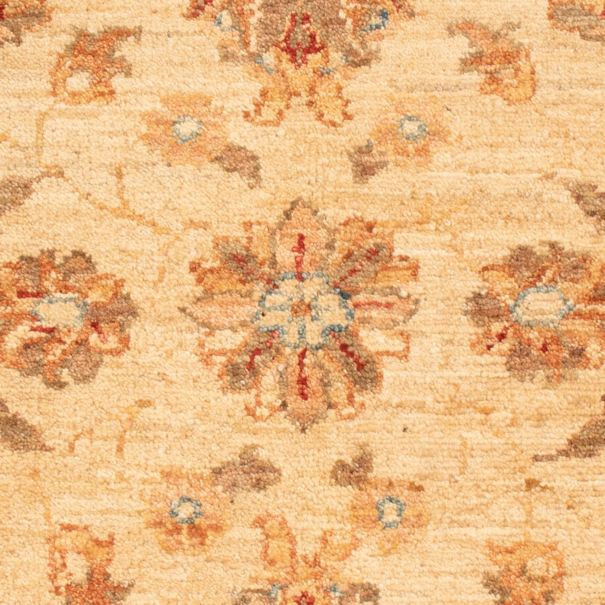 Tappeto Ziegler - 90 x 58 cm - beige