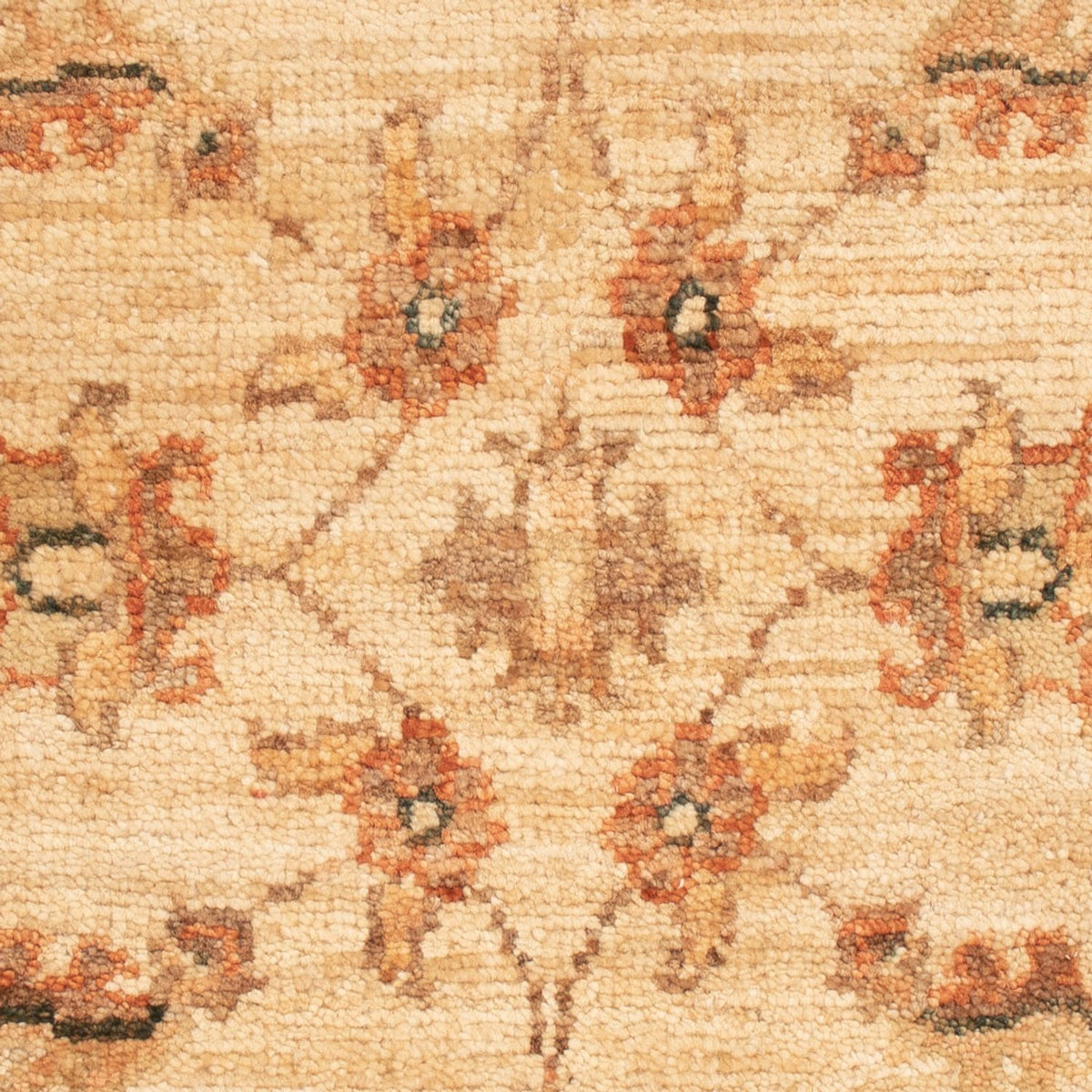Tappeto Ziegler - 68 x 50 cm - beige