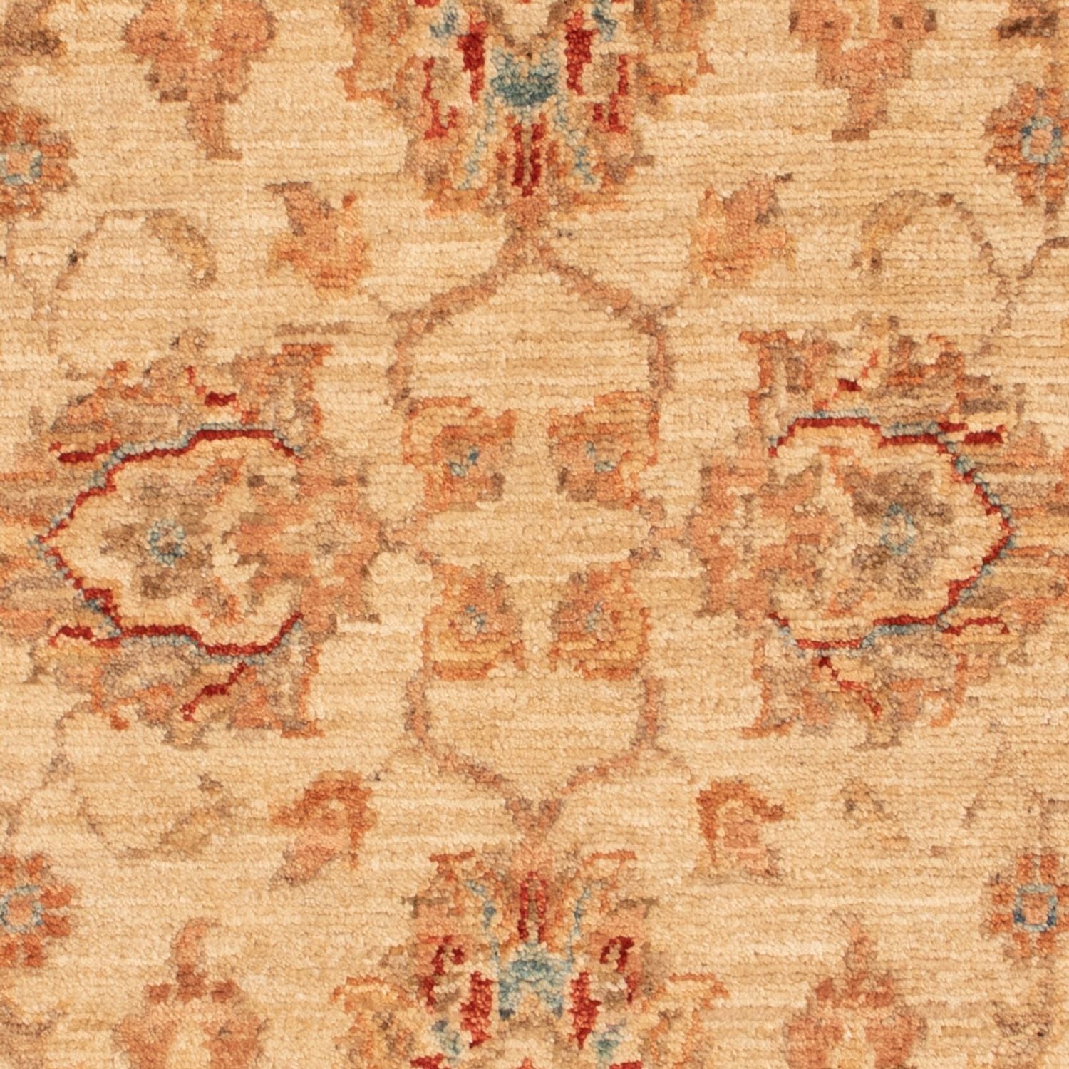 Tappeto Ziegler - 101 x 70 cm - beige