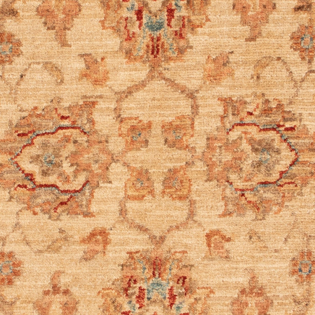 Tappeto Ziegler - 101 x 70 cm - beige