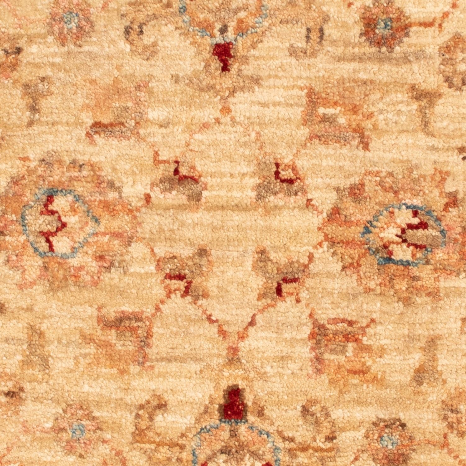 Tappeto Ziegler - 87 x 58 cm - beige
