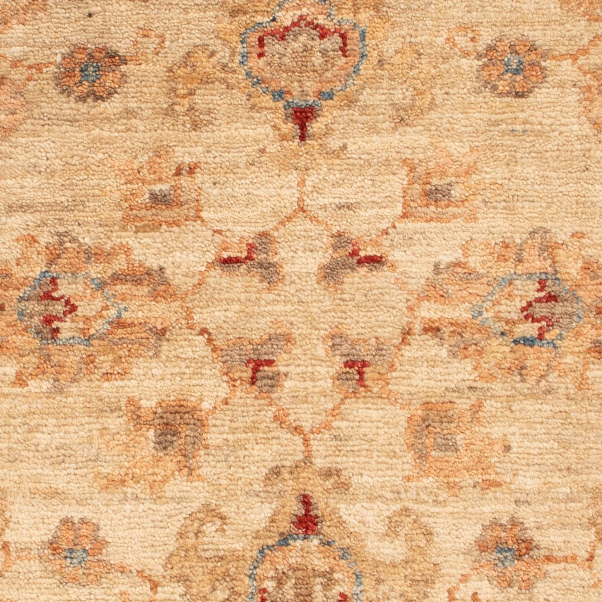 Tappeto Ziegler - 80 x 60 cm - beige