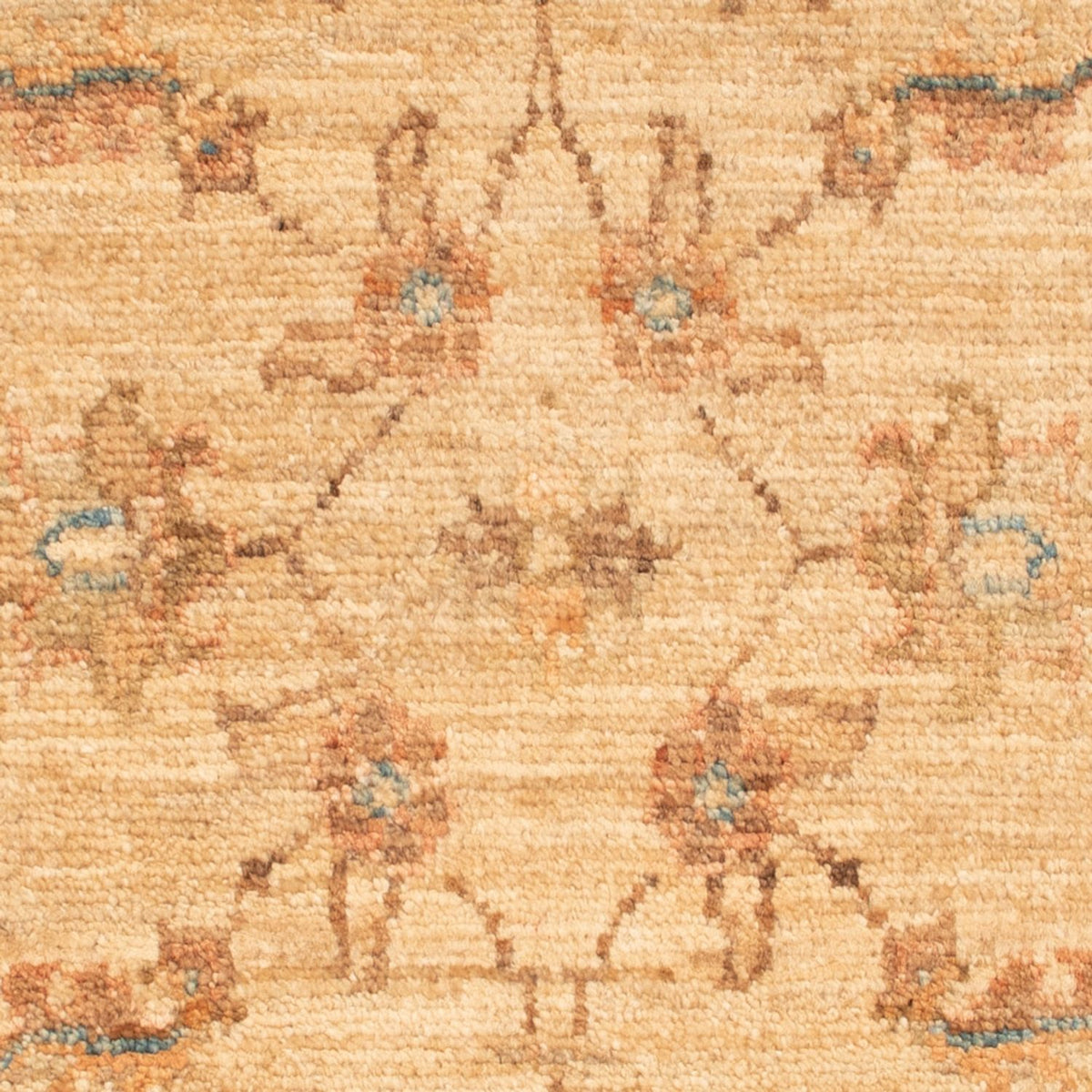 Tappeto Ziegler - 71 x 49 cm - beige
