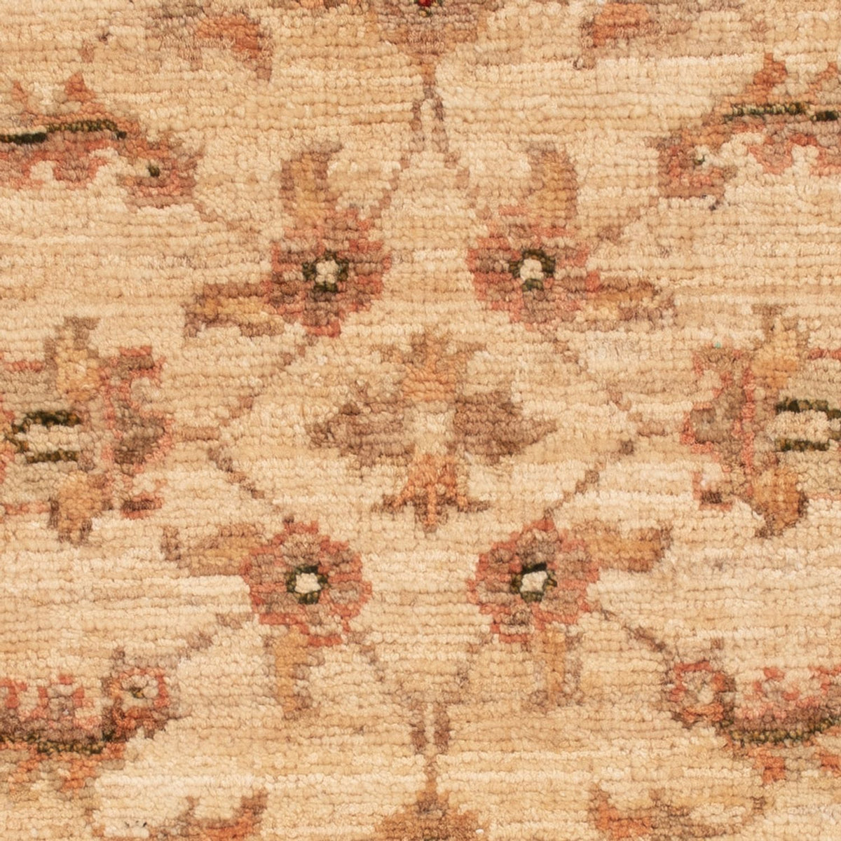 Tappeto Ziegler - 63 x 48 cm - beige